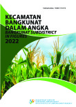 Kecamatan Bangkunat Dalam Angka 2022